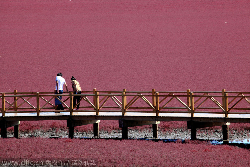 Los 10 lugares ideales para pasar el otoño en China