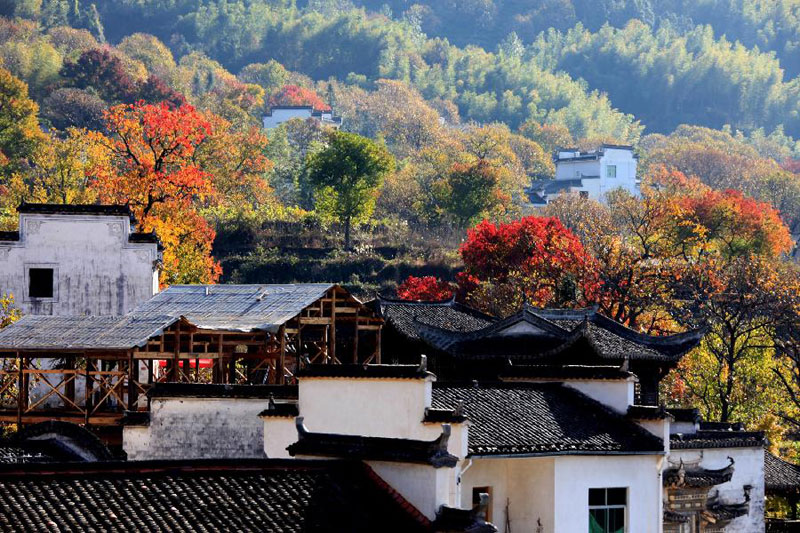 Los 10 lugares ideales para pasar el otoño en China