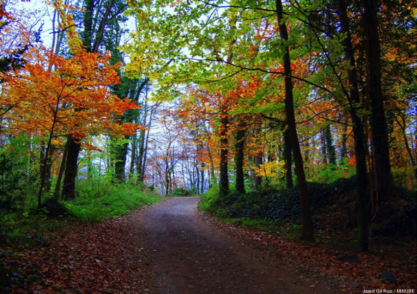 Los ocho mejores lugares para disfrutar del otoño1