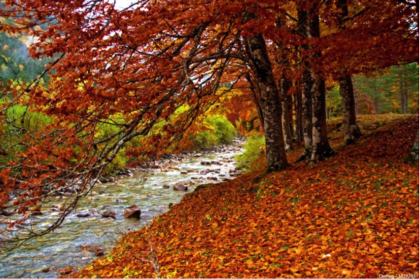 Los ocho mejores lugares para disfrutar del otoño2