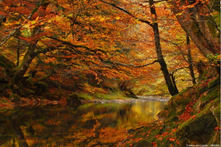 Los ocho mejores lugares para disfrutar del otoño3