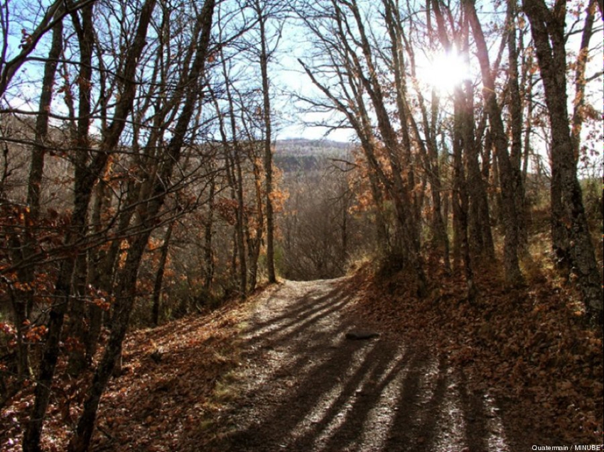 Los ocho mejores lugares para disfrutar del otoño6