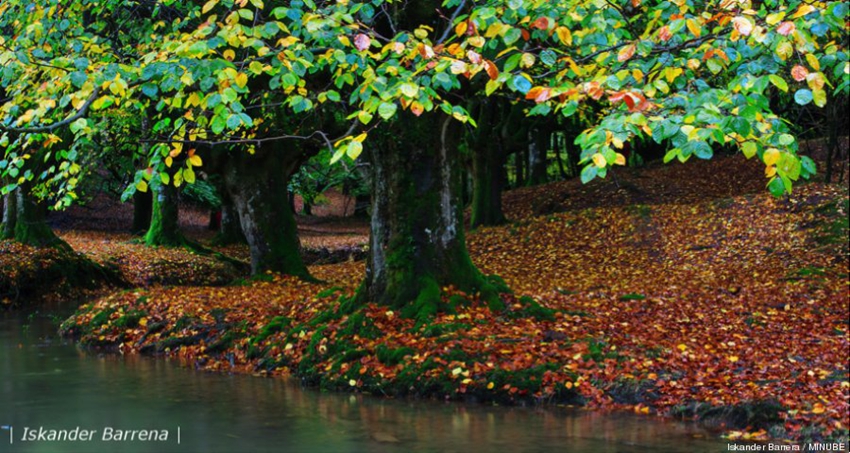 Los ocho mejores lugares para disfrutar del otoño8