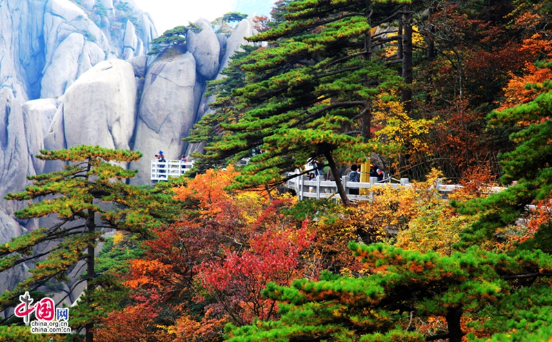 Las montes Huang: mejor destino para pasar el otoño en China 