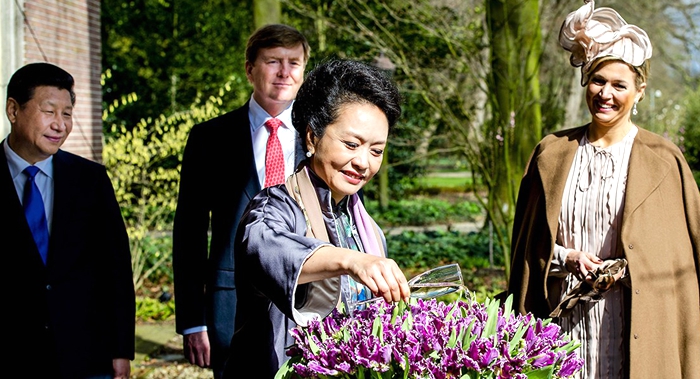Tulipanes “Cathey” de Peng Liyuan florecerán en Jardín Botánico de Beijing