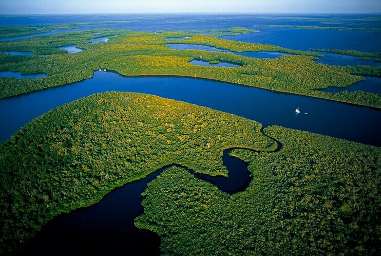 Brasil, el imperio de la naturaleza 123