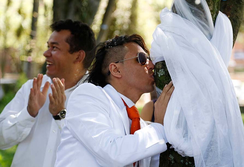 Medioambientalista colombiano se casa con un árbol1