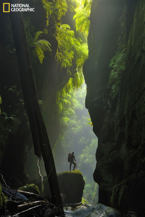 National Geographic subasta algunas de sus mejores fotos