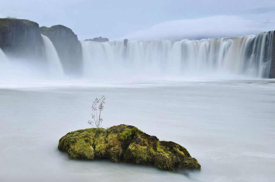 National Geographic subasta algunas de sus mejores fotos