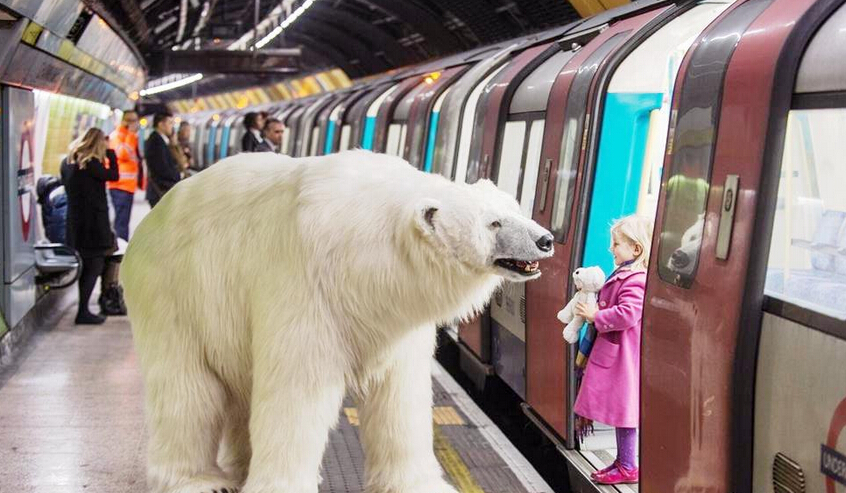 Un oso polar perdido en las calles y el metro de Londres5