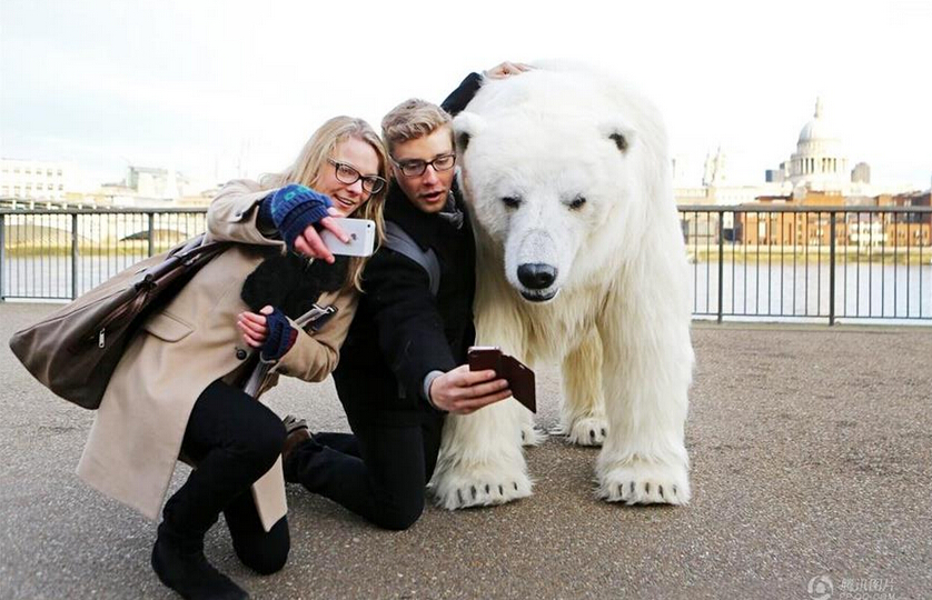 Un oso polar perdido en las calles y el metro de Londres3