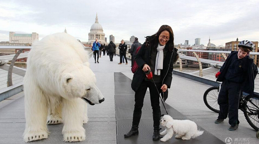 Un oso polar perdido en las calles y el metro de Londres1