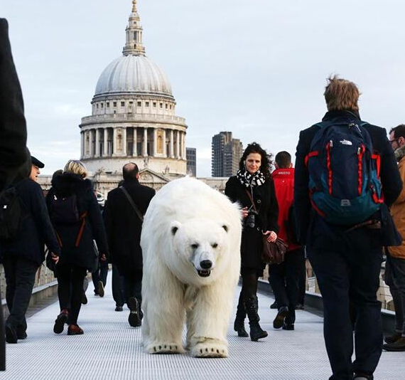 Un oso polar perdido en las calles y el metro de Londres2