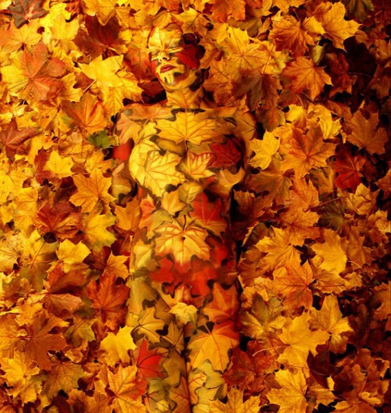 Las mejores pinturas corporales jamás vistas3