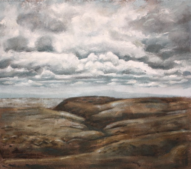 Un pintor daltónico pinta paisajes con y sin las gafas que corrigen su visión5