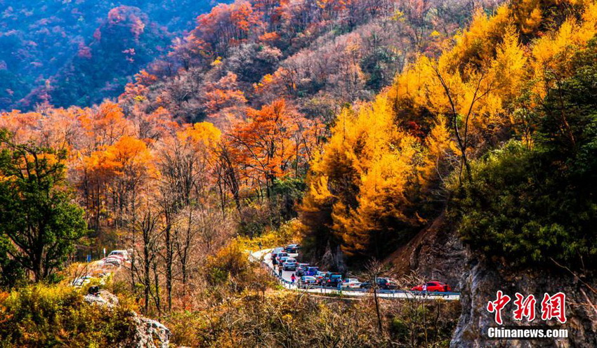 Provincia de Sichuan da la bienvenida a la temporada más bella 14