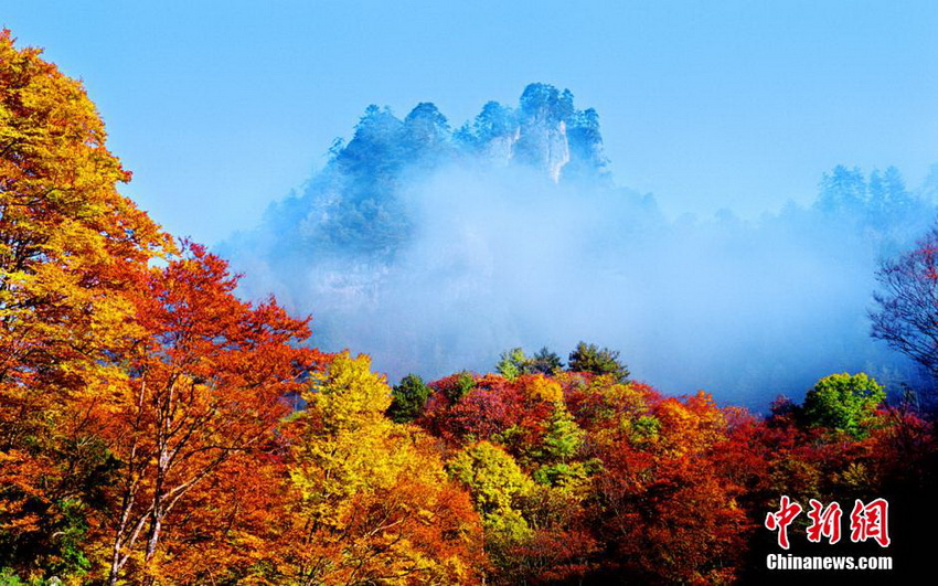 Provincia de Sichuan da la bienvenida a la temporada más bella 2