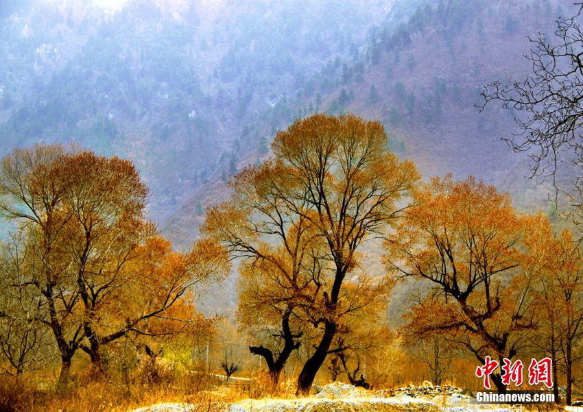 Provincia de Sichuan da la bienvenida a la temporada más bella 17