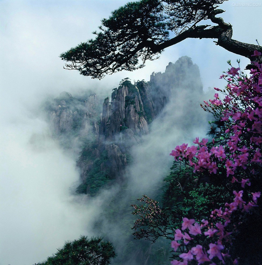 Monte Sanqing de Shangrao, Provincia de Jiangxi: La belleza de la azalea brilla en el monte divino de los mil años 5