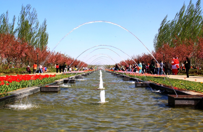 Puerto internacional de flores frescas de Shunyi, Beijing: ¡que florezcan las tulipas! 9