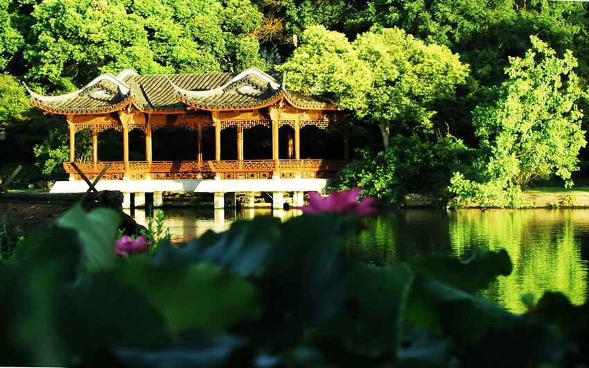 Lago Oeste de Hangzhou: lugar perfecto para contemplar las flores de loto 15