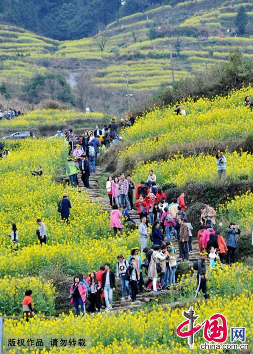 Wuyuan, provincia de Jiangxi: Miles de hectareas de mar de flores de colza 6
