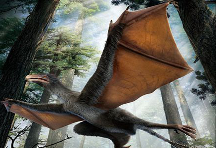 Descubren fósiles de dinosaurio con alas de murciélago en China, según estudio 