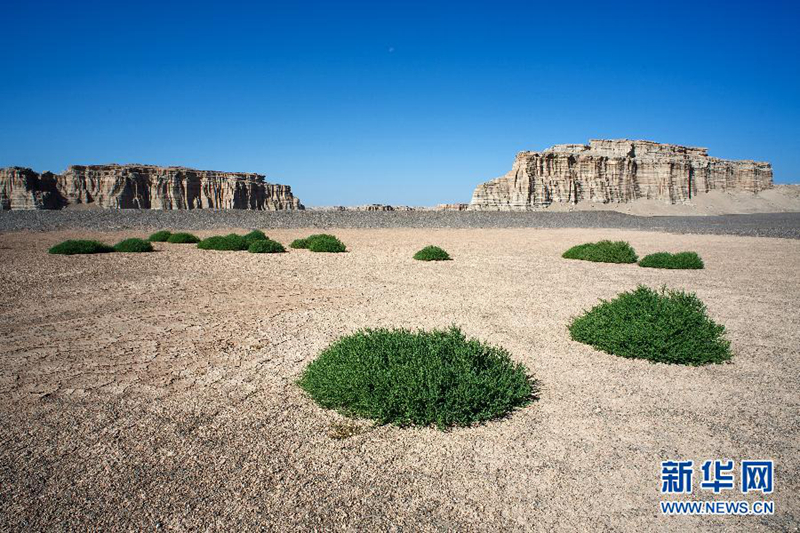 Yardangs en Hami, Xinjiang2