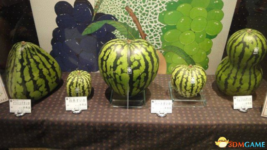 Sandías en forma de corazón o cubo son un lujo en Japón4