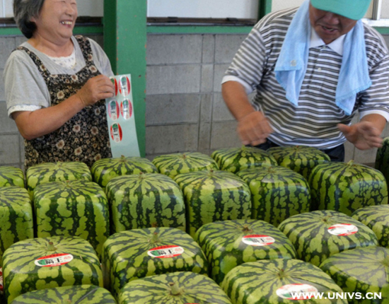 Sandías en forma de corazón o cubo son un lujo en Japón5