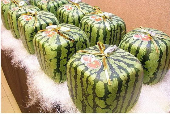 Sandías en forma de corazón o cubo son un lujo en Japón6