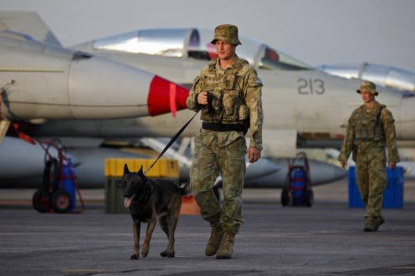 Perros feroces encargados de la vigilancia de aviones militares