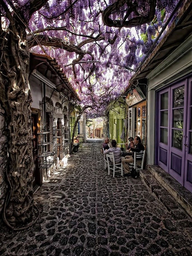 Mágicas calles de alrededor del mundo donde flores y árboles son protagonistas1