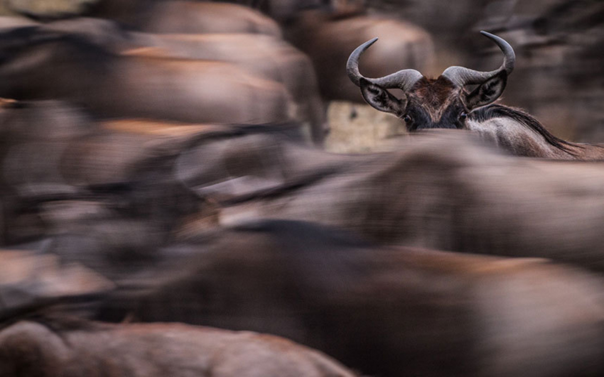 Fotos de Concurso de fotografía National Geographic Traveler 2015l