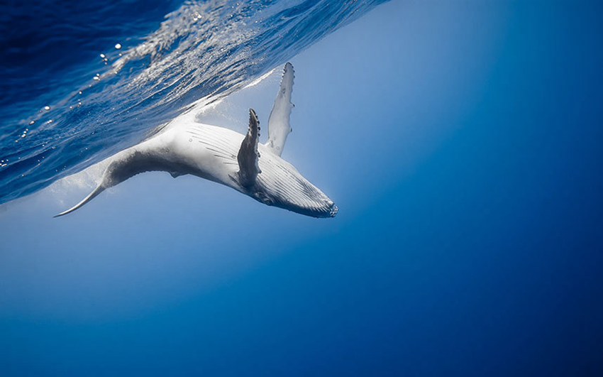 Fotos de Concurso de fotografía National Geographic Traveler 2015m