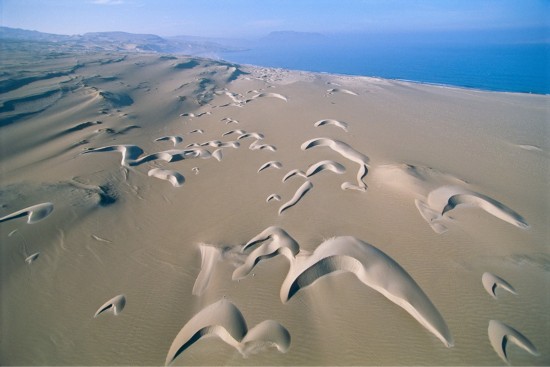 Perú: las dunas del Parque Nacional de Paracas 秘鲁，帕拉卡斯国家公园，新月形沙丘