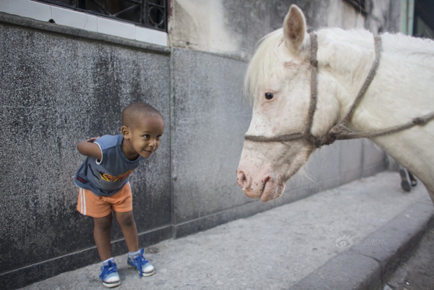 20 fotos más populares de Instergram de Reuters