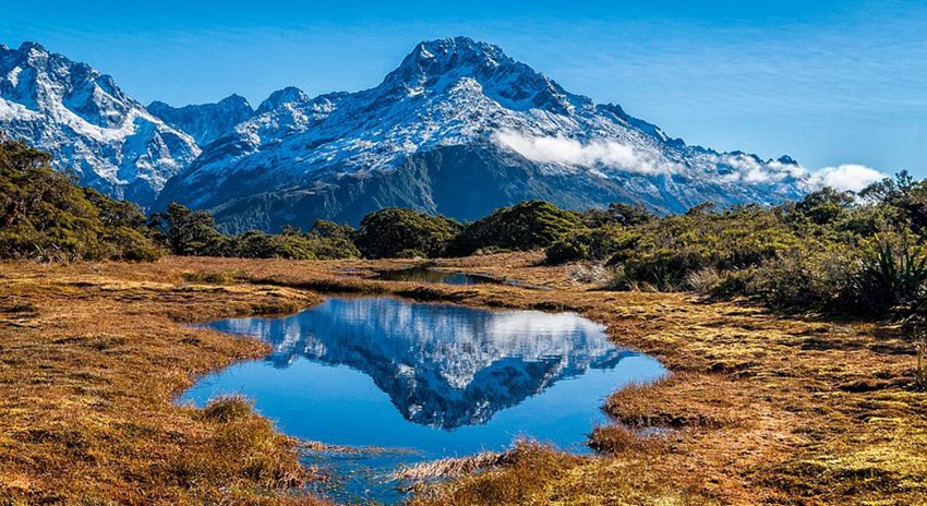 Fascinante naturaleza de Nueva Zelanda4