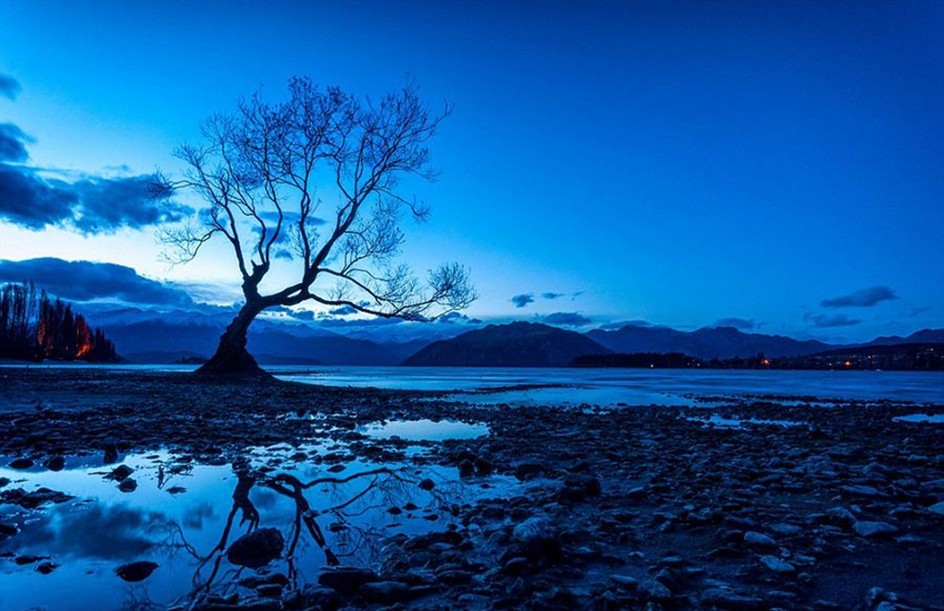 Fascinante naturaleza de Nueva Zelanda8