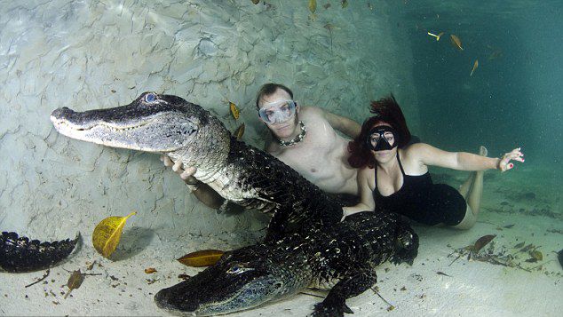 ¿Te atreverías a nadar con cocodrilos?2