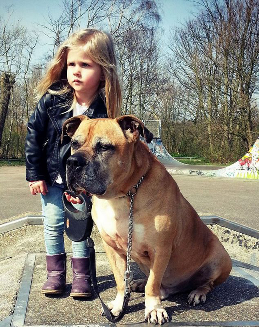 una niña holandesa y su perro1