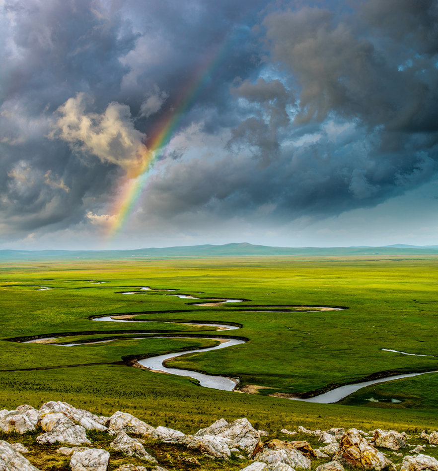 Paisaje hermoso de pradera 