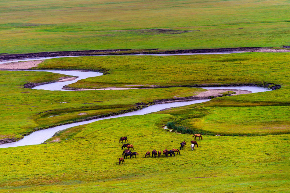 Paisaje hermoso de pradera 