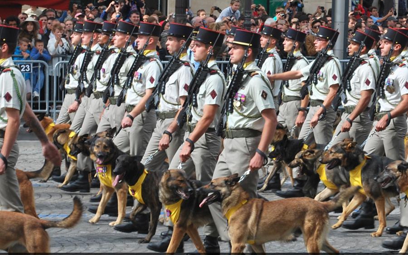 Presentaciones increíbles en los desfiles militares