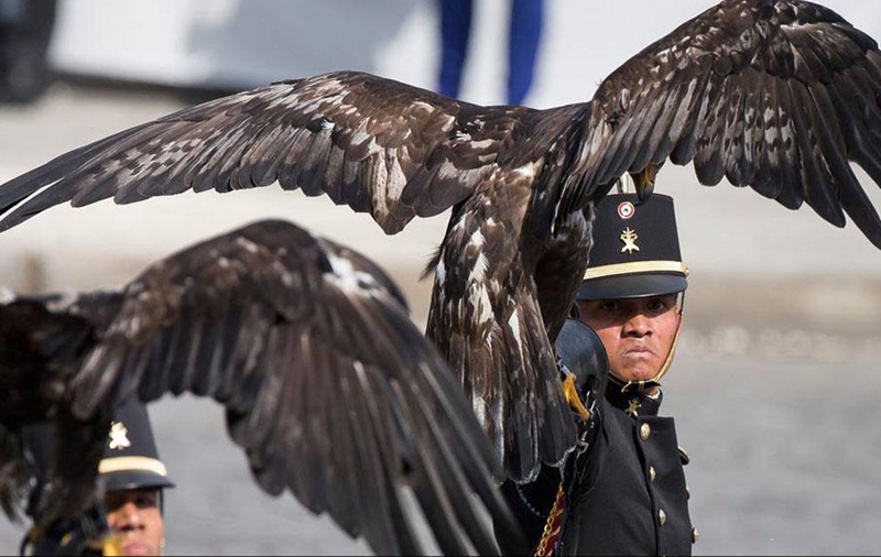 Presentaciones increíbles en los desfiles militares