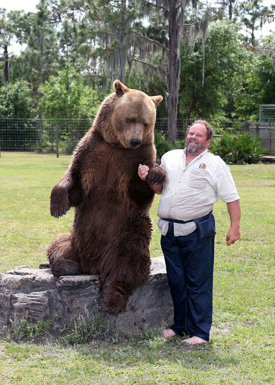 Una familia estadounidense con 13 osos4