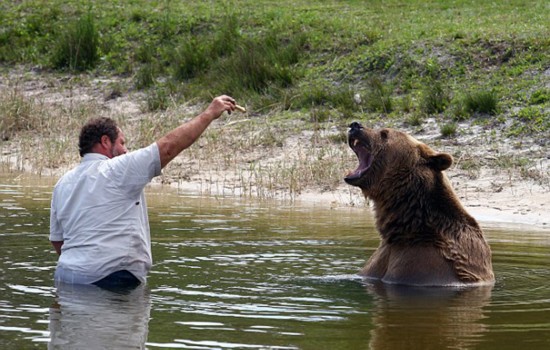 Una familia estadounidense con 13 osos5