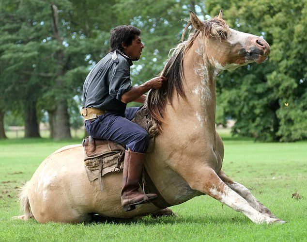 Martin Tatta, mejor domador de caballo del mundo 