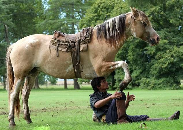 Martin Tatta, mejor domador de caballo del mundo 