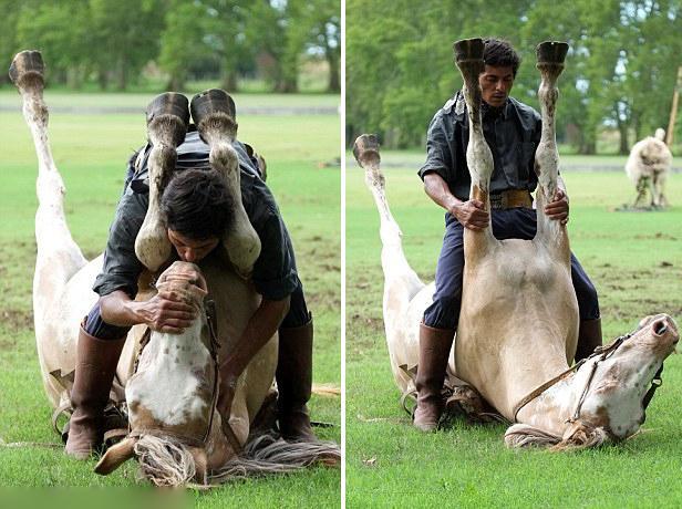 Martin Tatta, mejor domador de caballo del mundo 